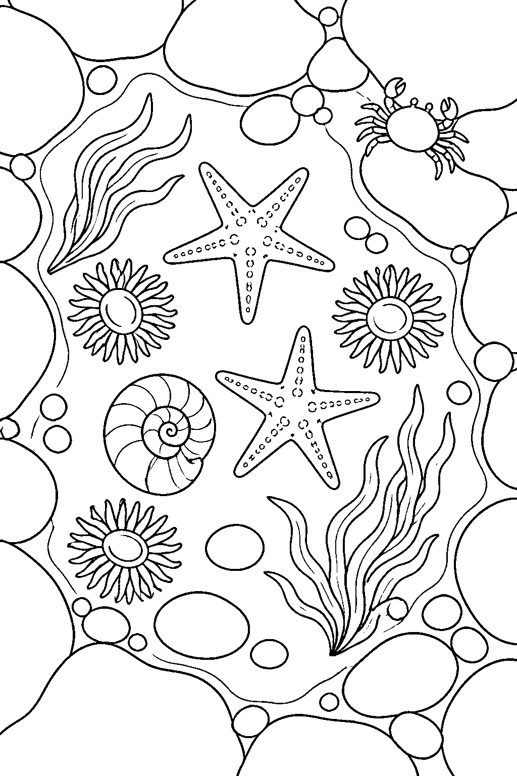 Outline drawing of a rocky tide pool seen from above, with starfish, sea anemones, a spiral shell, smooth pebbles, strands of seaweed and a small crab at the water’s edge.